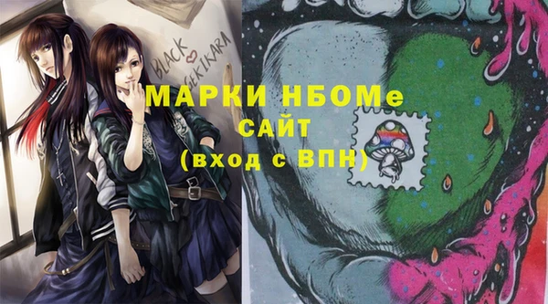 гашик Алексеевка