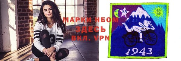 гашик Алексеевка