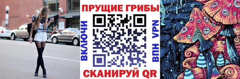 наркота  Дегтярск  Галлюциногенные грибы прущие грибы 