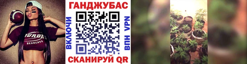 где найти   Дегтярск  Канабис Amnesia 